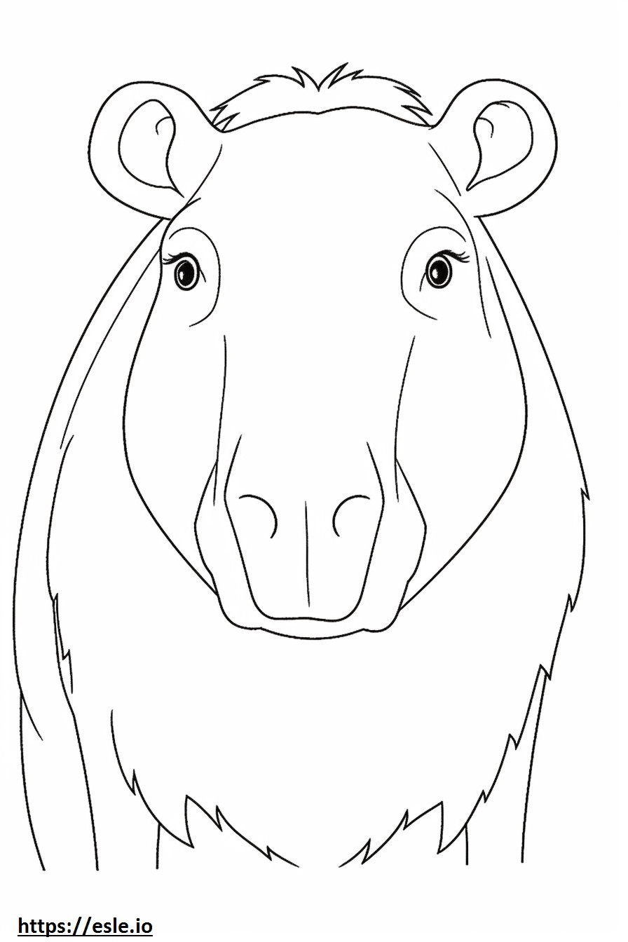 Capybara-Gesicht ausmalbild