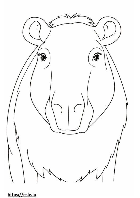 Capybaran kasvot värityskuva