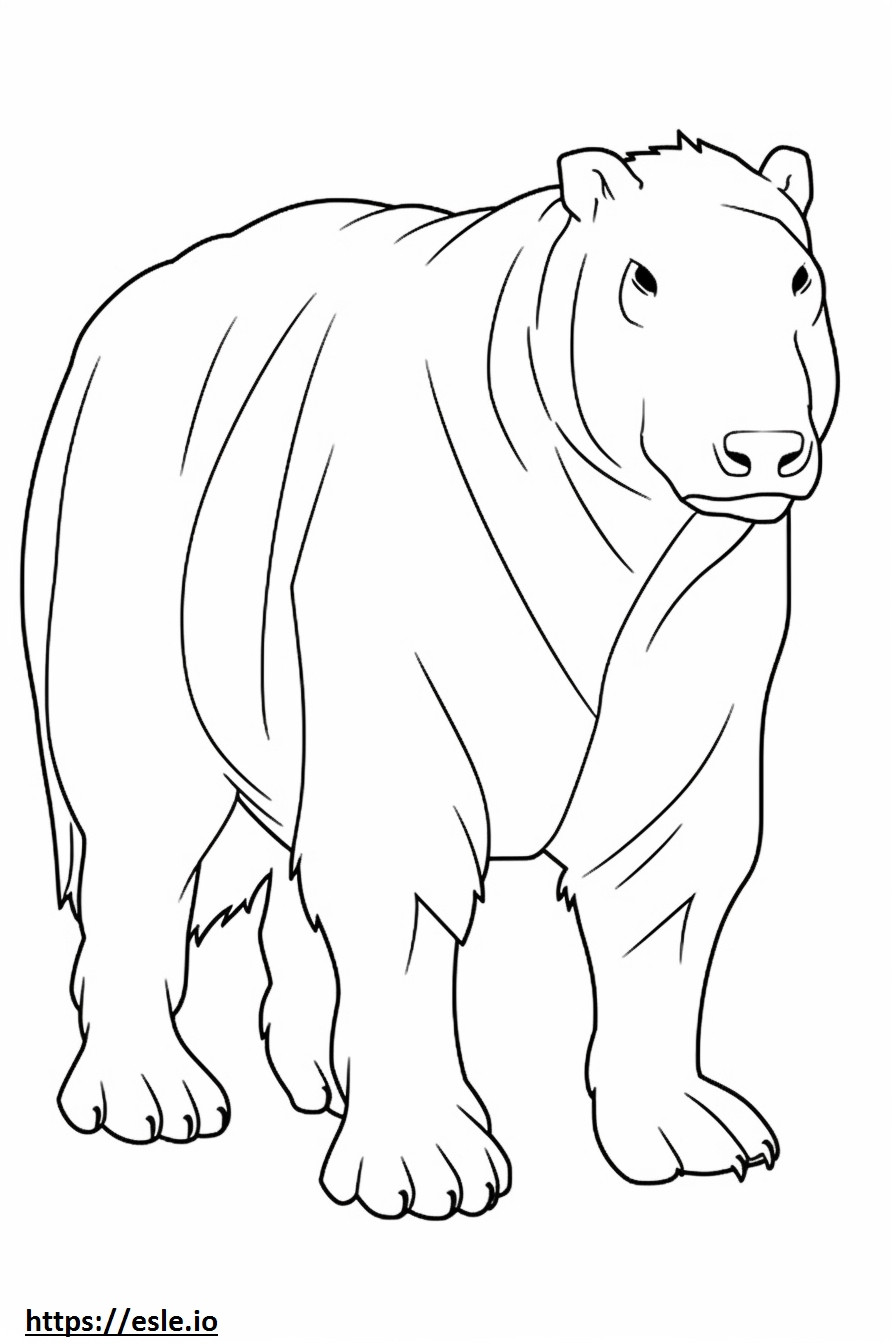 Capybara full body coloring page