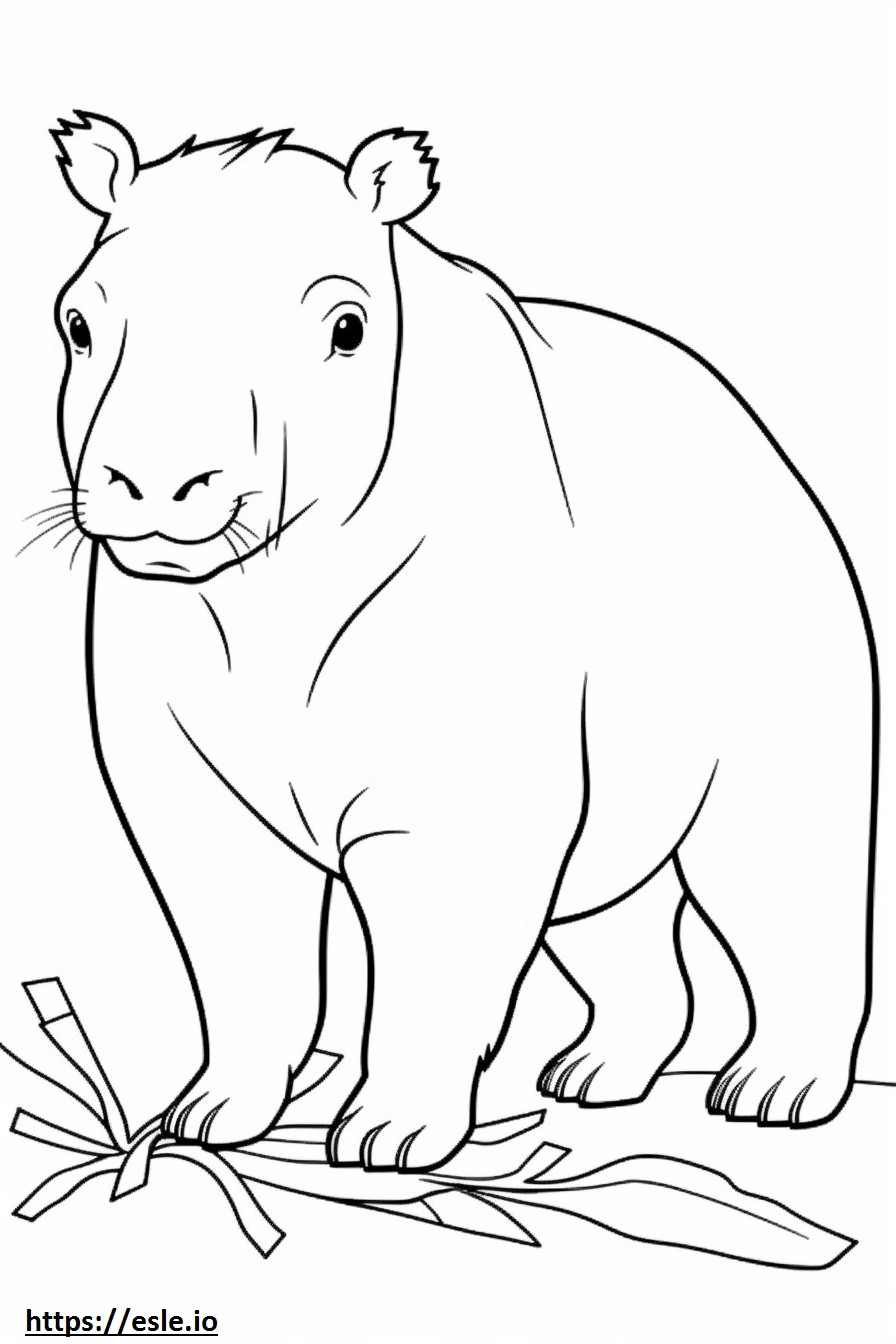 Kapibara, dziecko kolorowanka