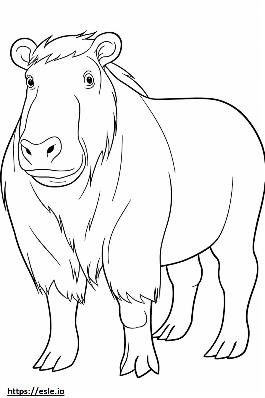 Kapibara karikatür boyama
