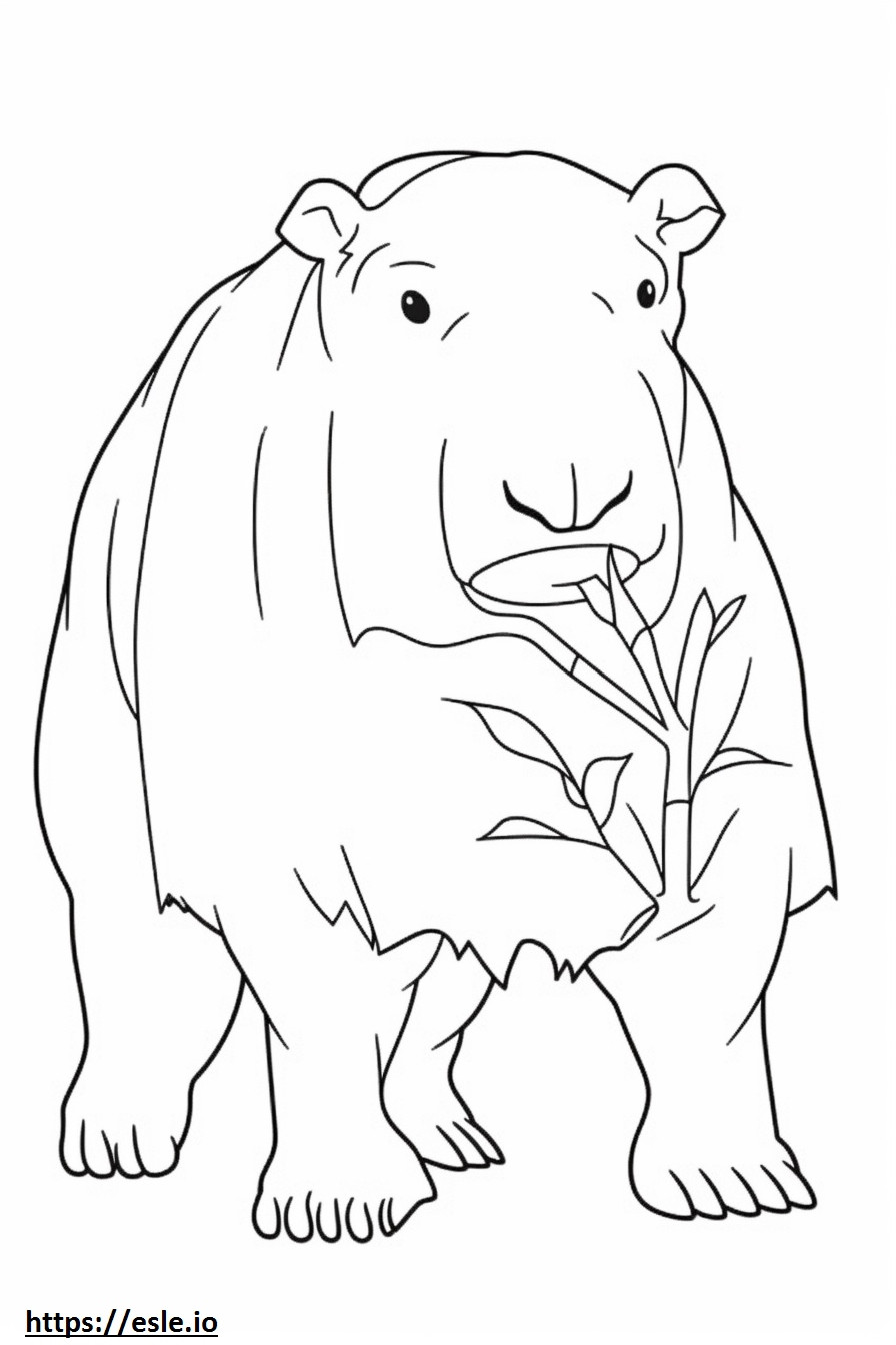 Coloriage Caricature de Capybara à imprimer