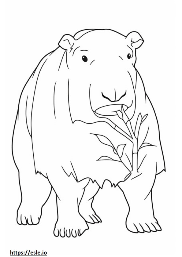 Coloriage Caricature de Capybara à imprimer