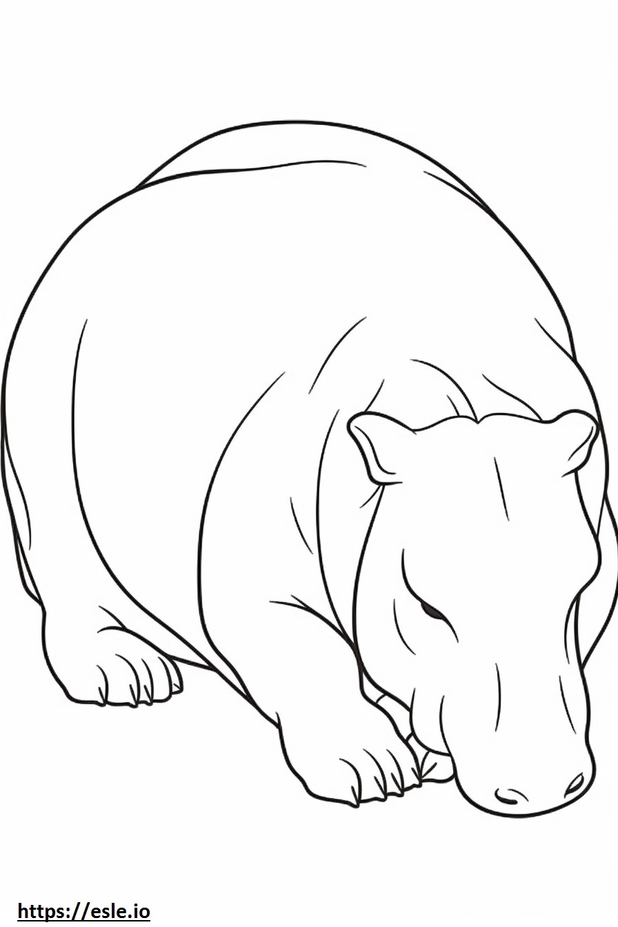 Capybara Sleeping coloring page