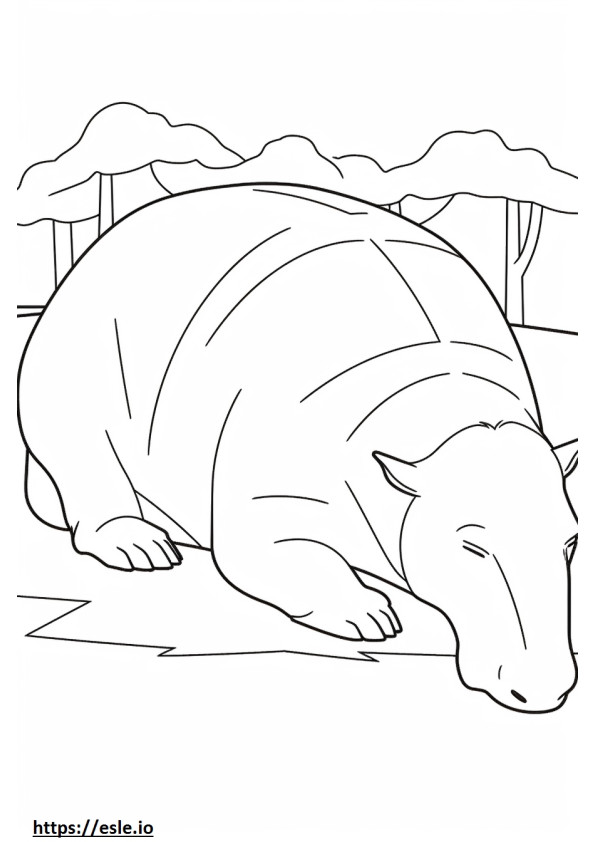 Capibara slaapt kleurplaat