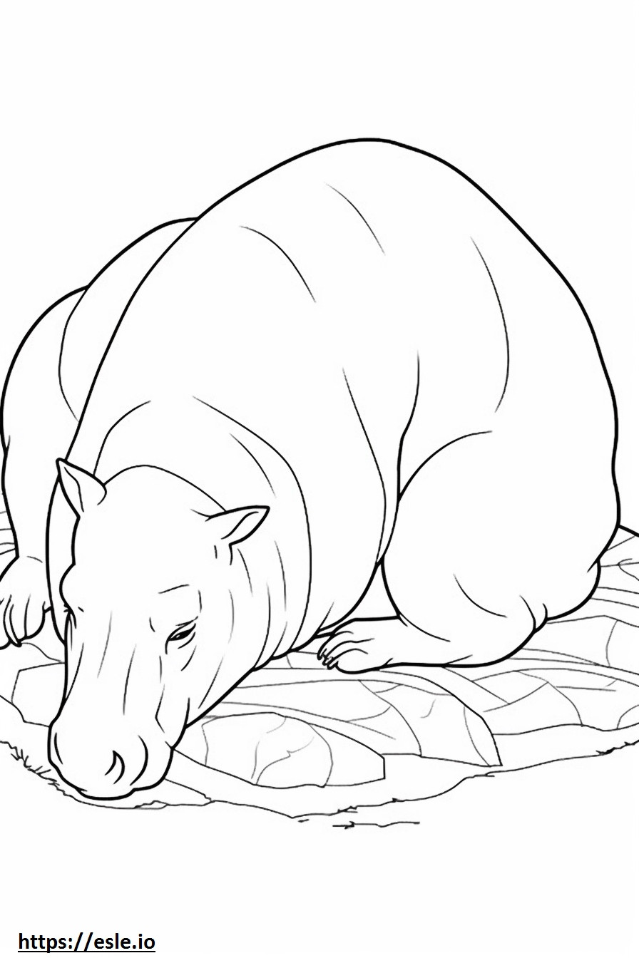 Kapybara alszik szinező