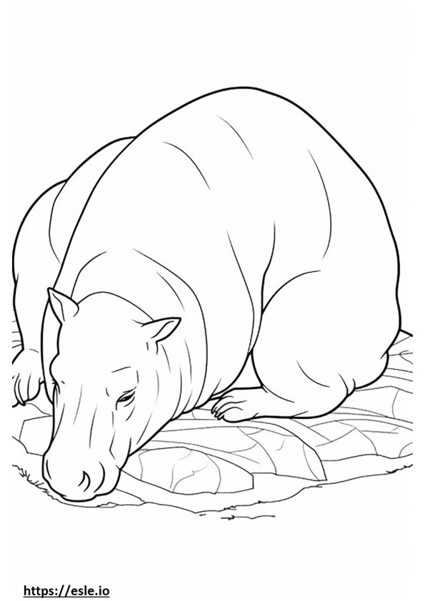 Capibara slaapt kleurplaat