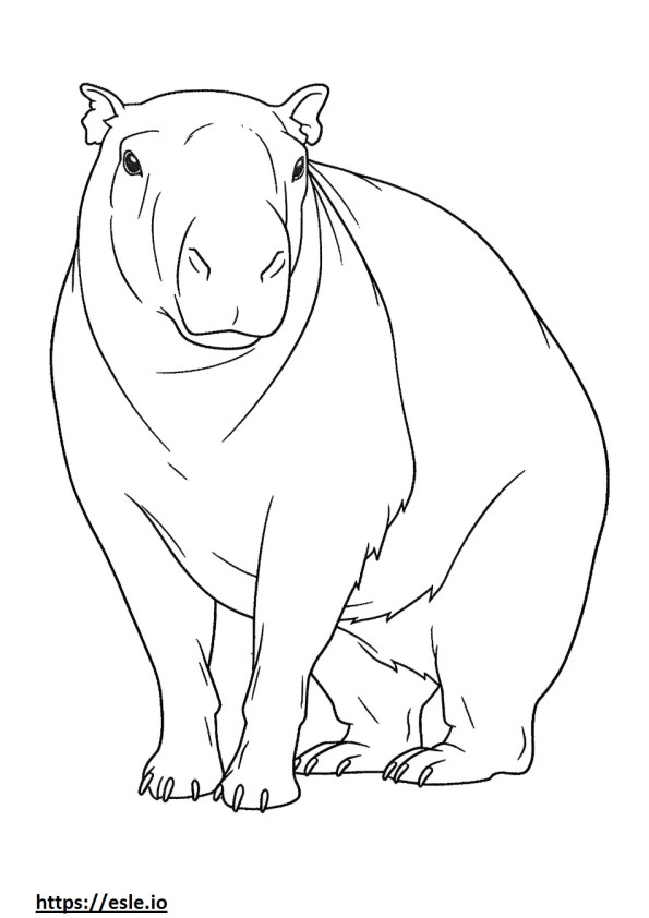 Capybara Playing coloring page