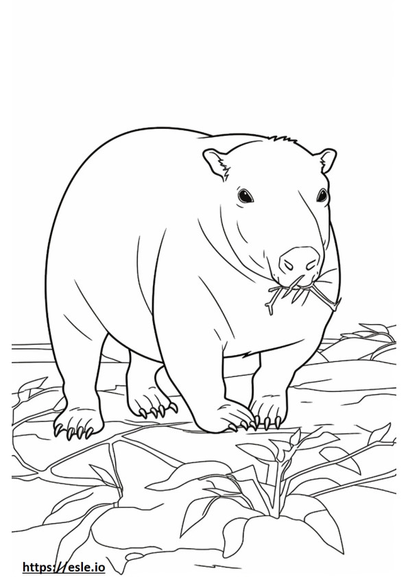 Coloriage Capybara jouant à imprimer
