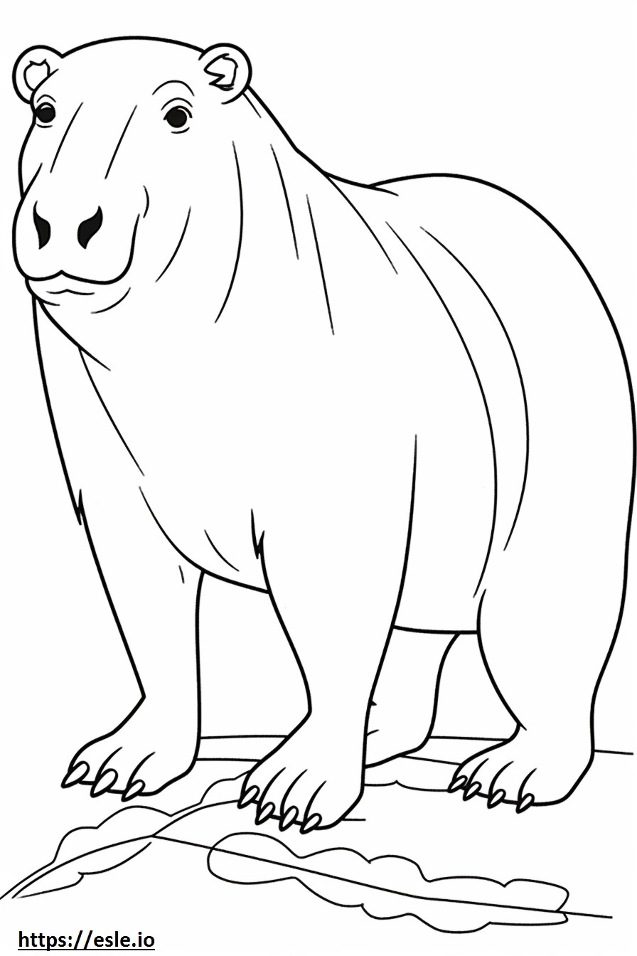 Kapibara Dostu boyama