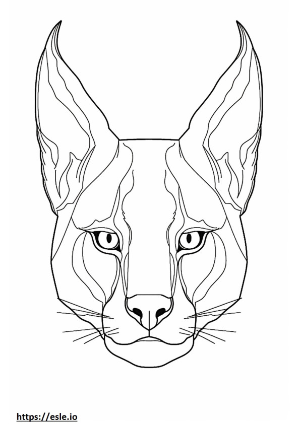 Caracal face coloring page