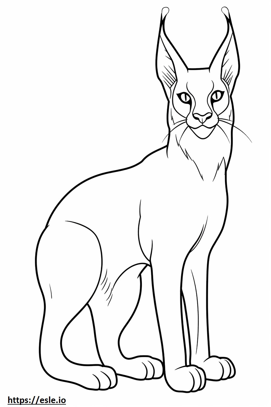 Caracal cute coloring page