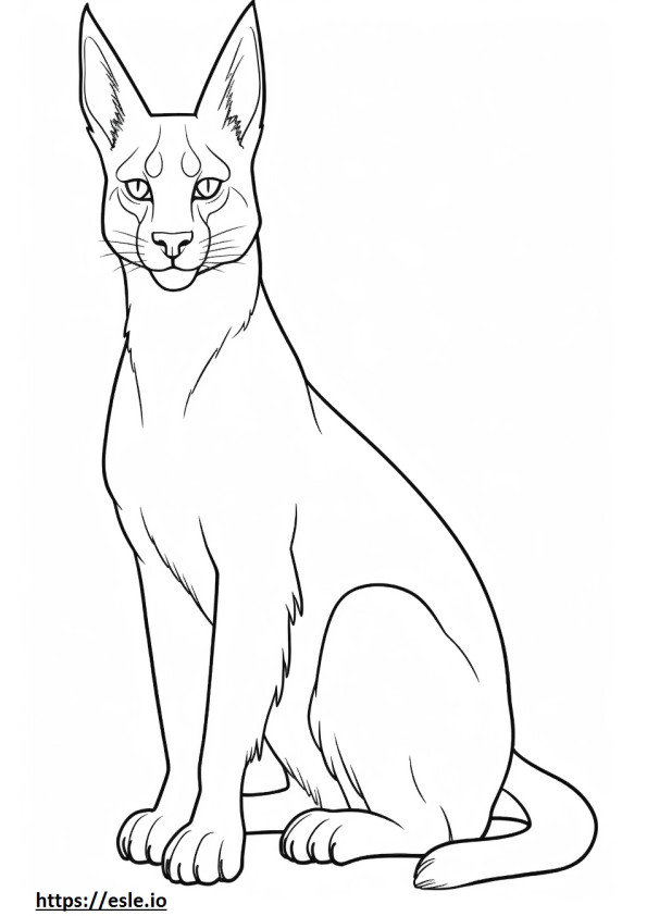 Caracal cute coloring page