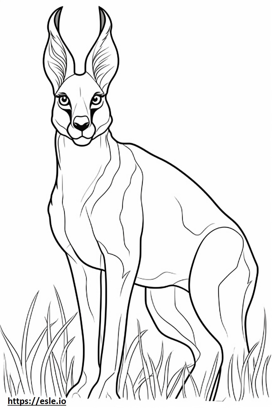Caracal happy coloring page