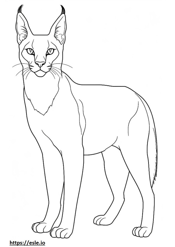 Caracal Friendly coloring page