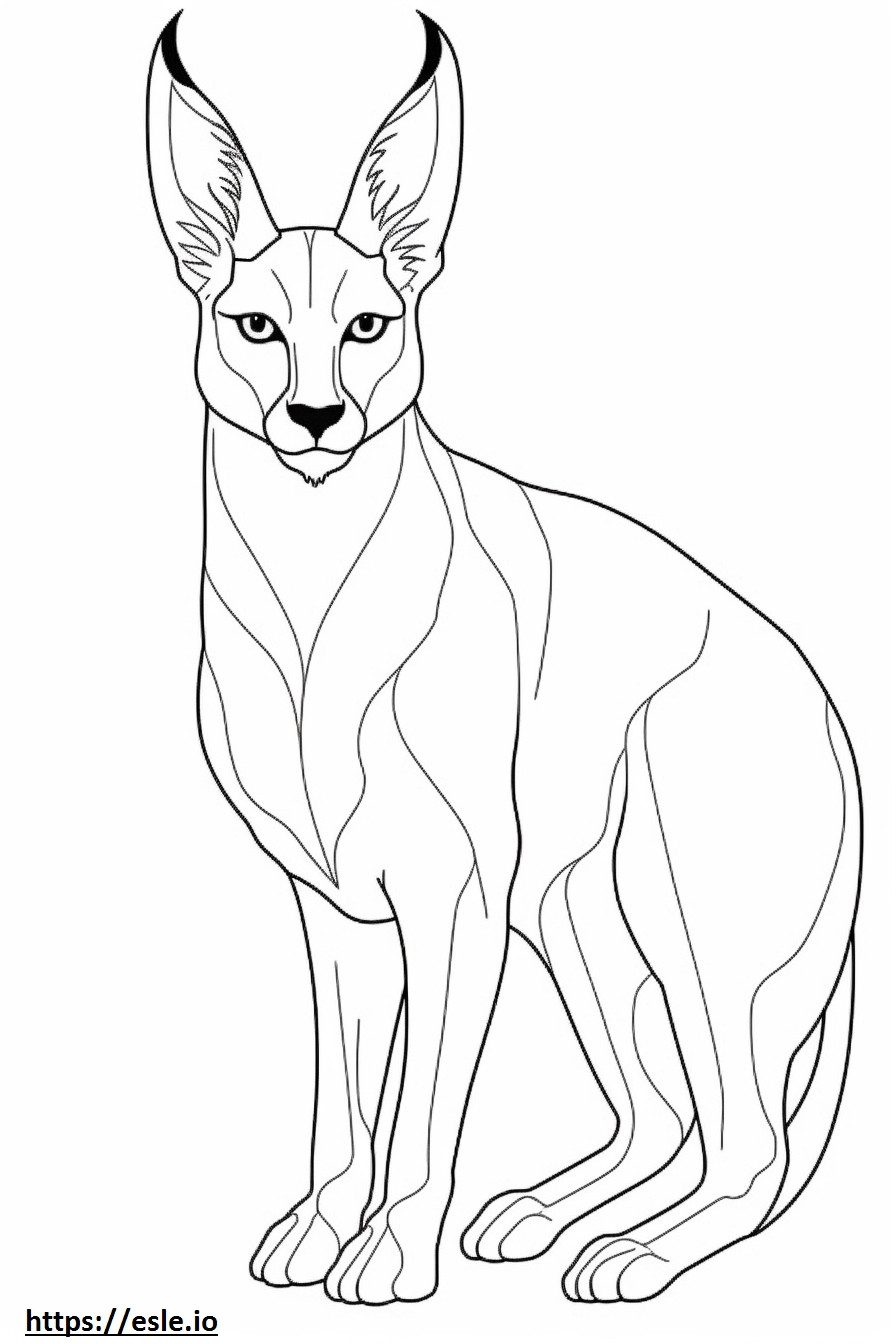 Caracal Friendly coloring page