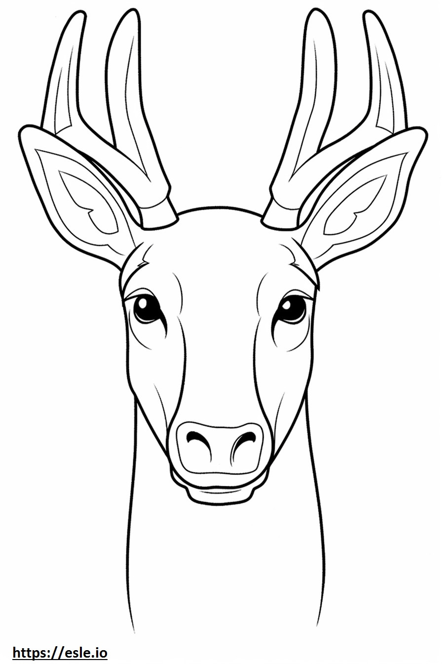 Caribou face coloring page