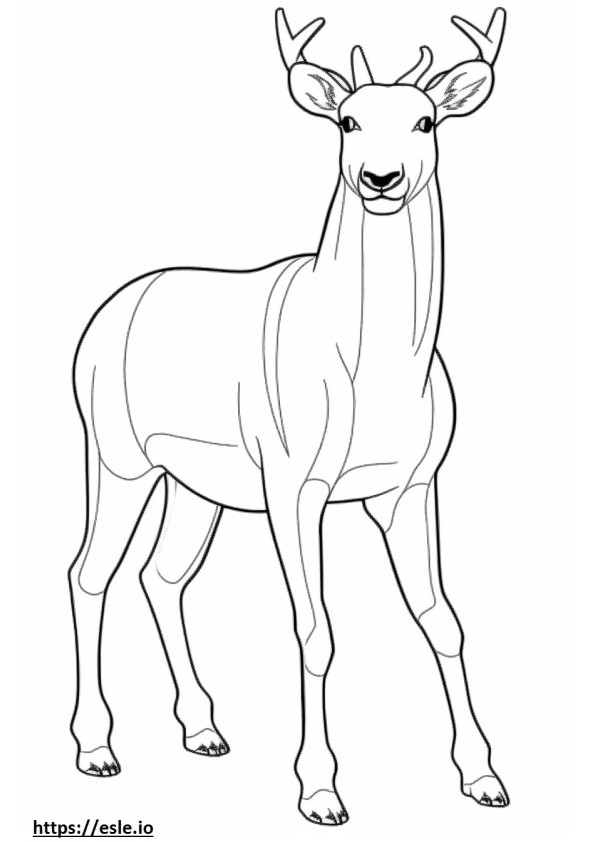 Caribou full body coloring page