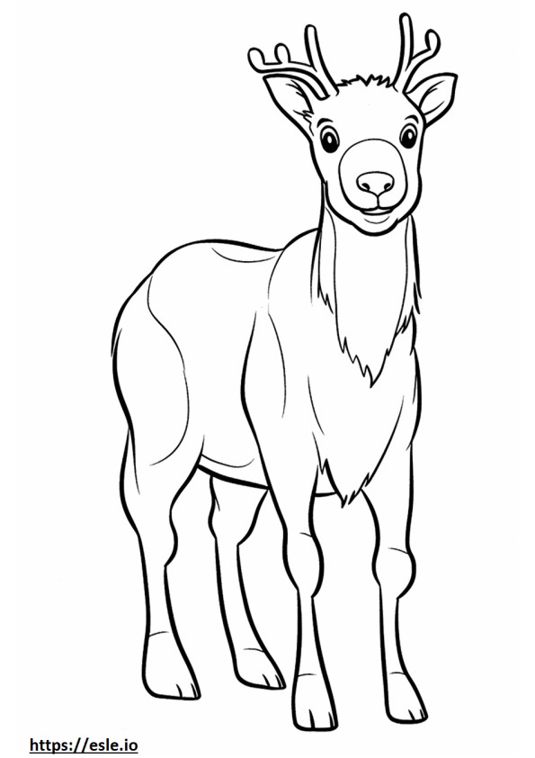 Caribou baby coloring page