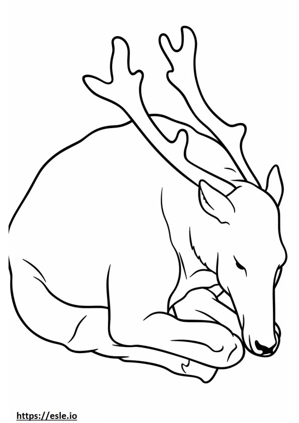 Caribou Sleeping coloring page