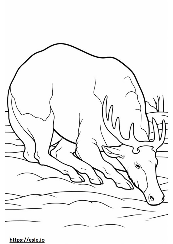 Caribou Alszik szinező
