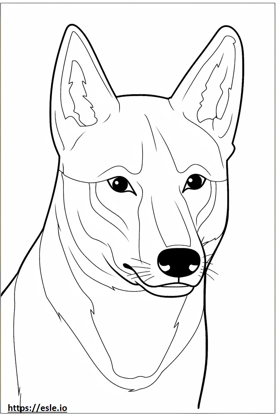 Cara de cachorro Carolina para colorir