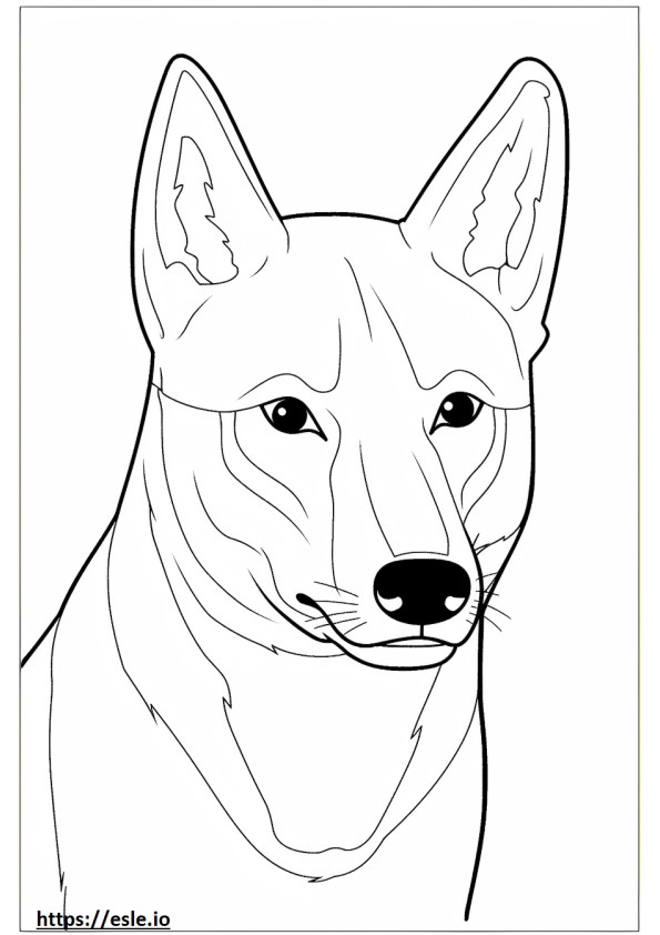 Carolina Dog face coloring page