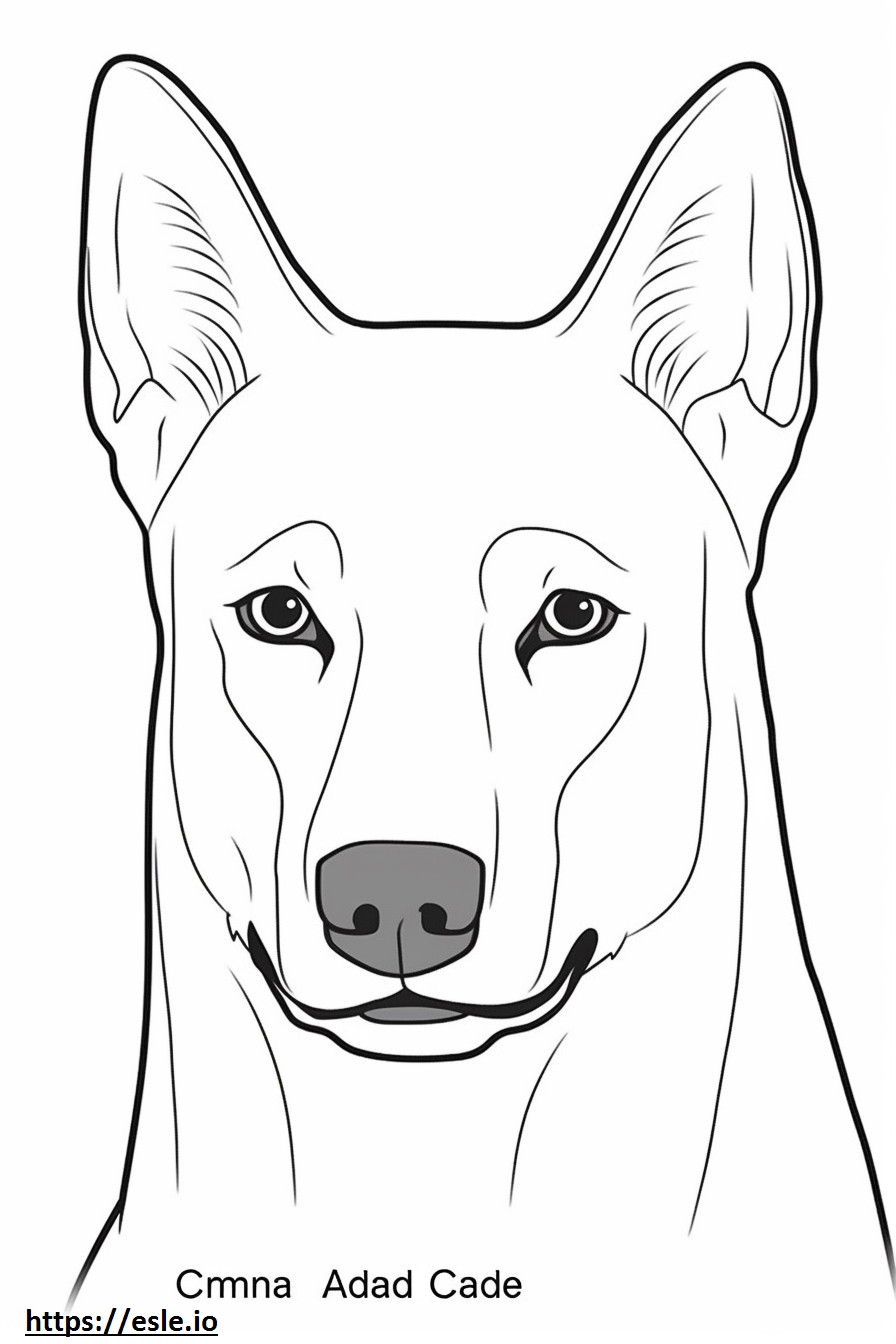 Cara de cachorro Carolina para colorir