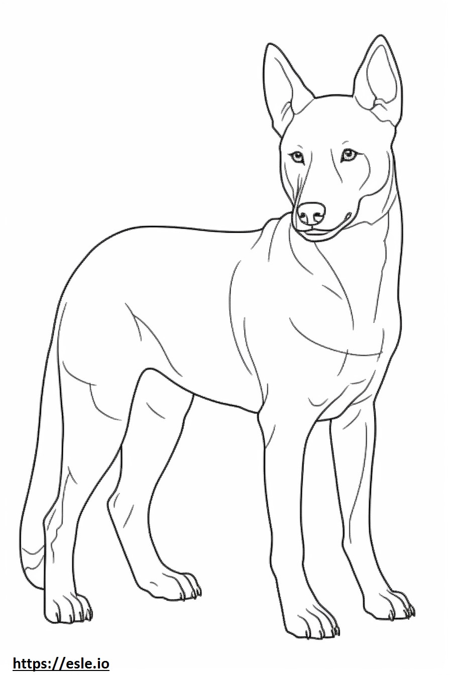 Carolina cane cucciolo da colorare