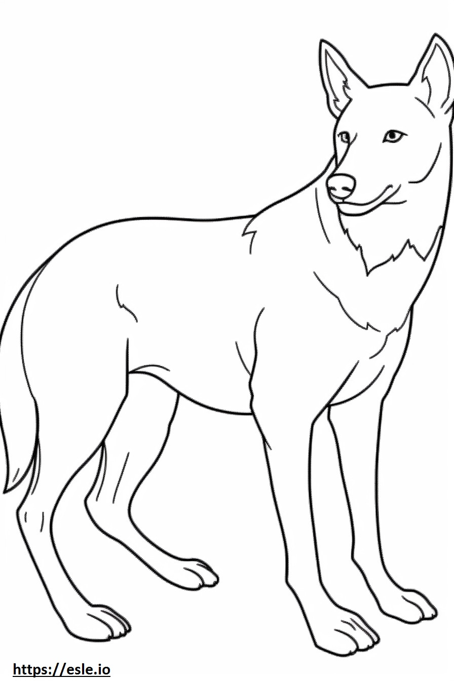 Carolina Hond schattig kleurplaat kleurplaat