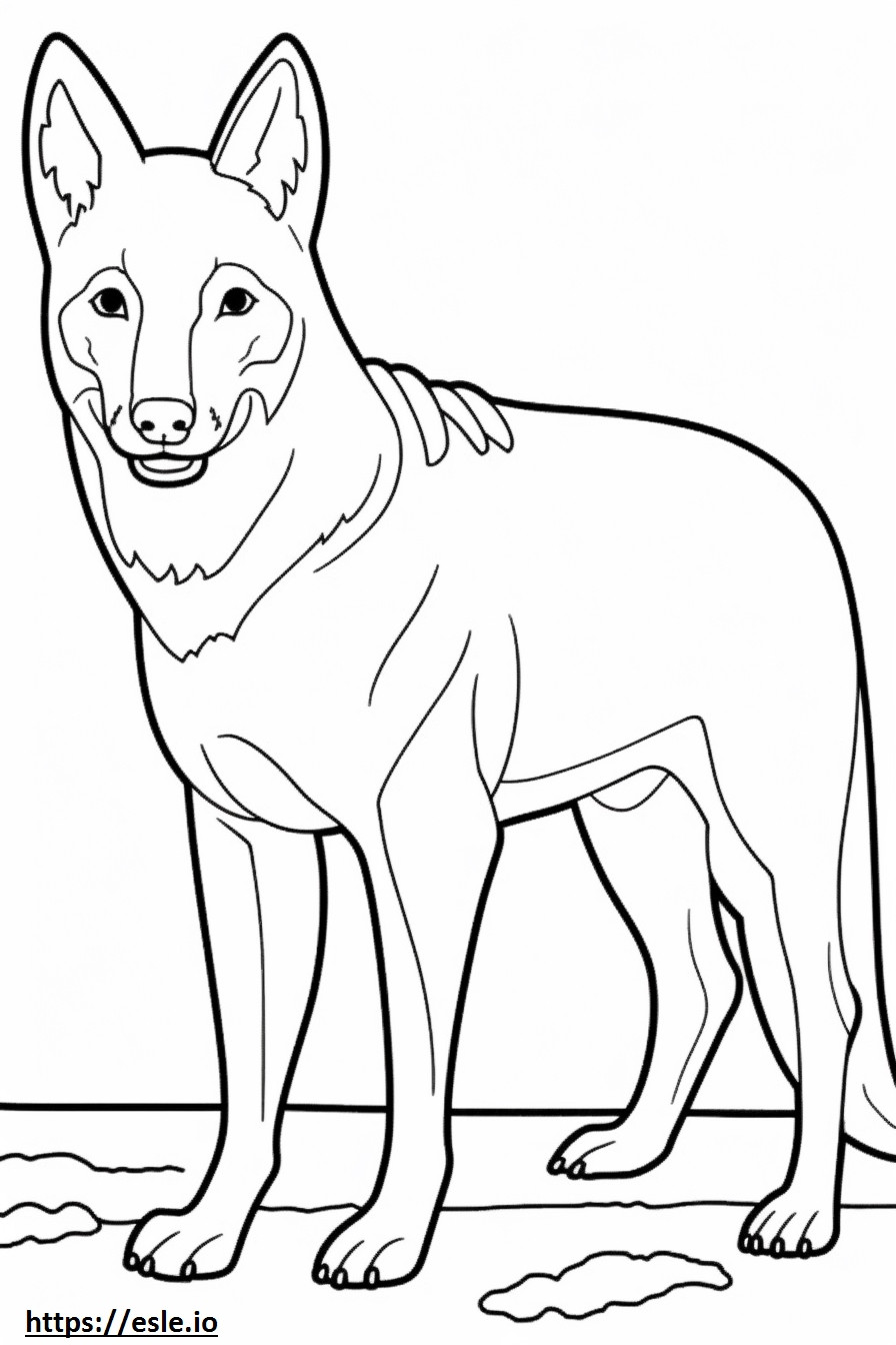 Carolina Dog happy coloring page