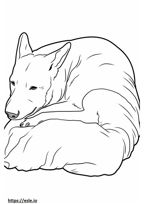 Carolina-hond slaapt kleurplaat