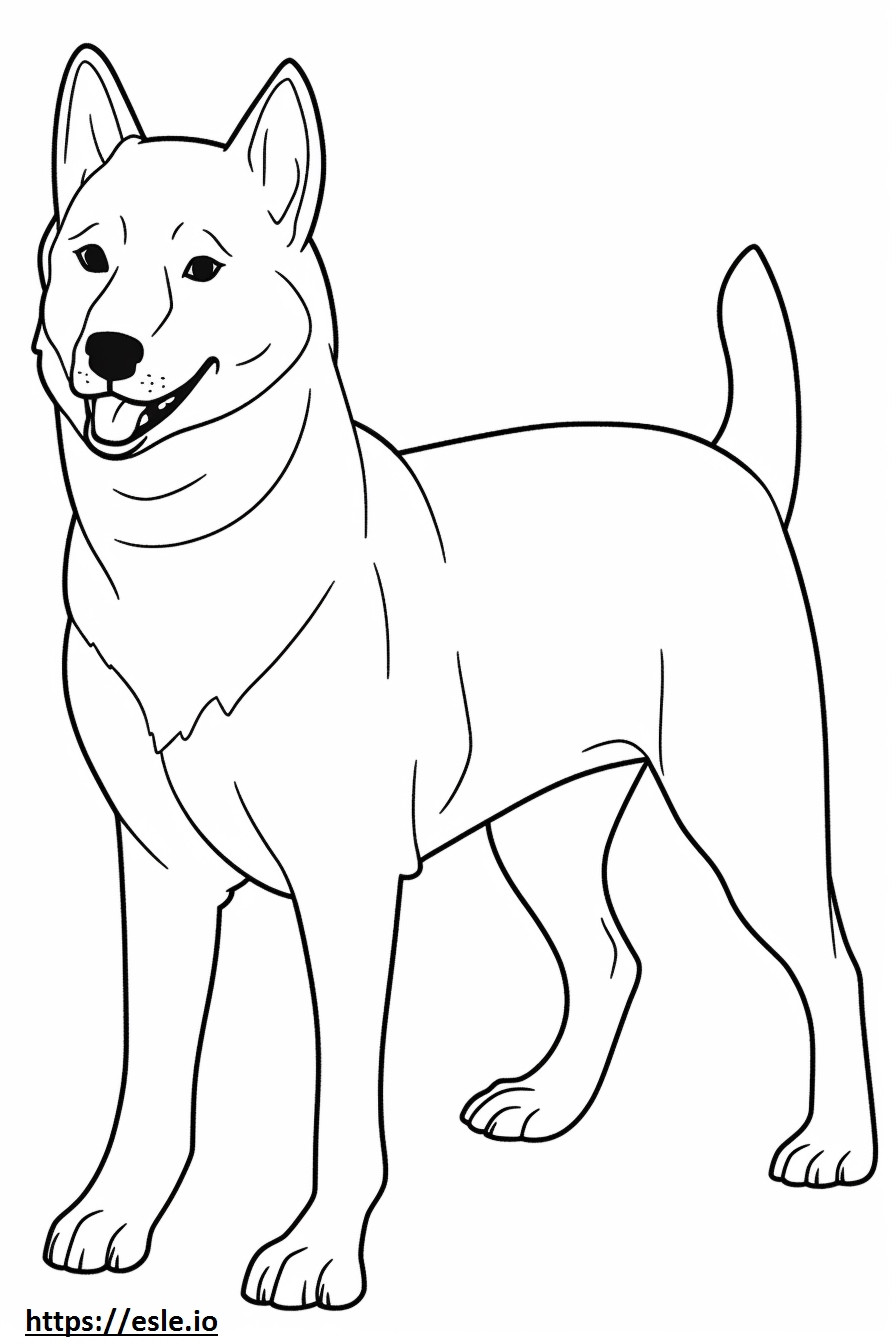 Carolina Dog Kawaii coloring page
