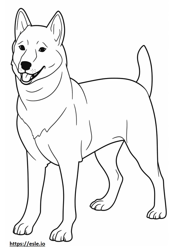 Carolina Dog Kawaii coloring page