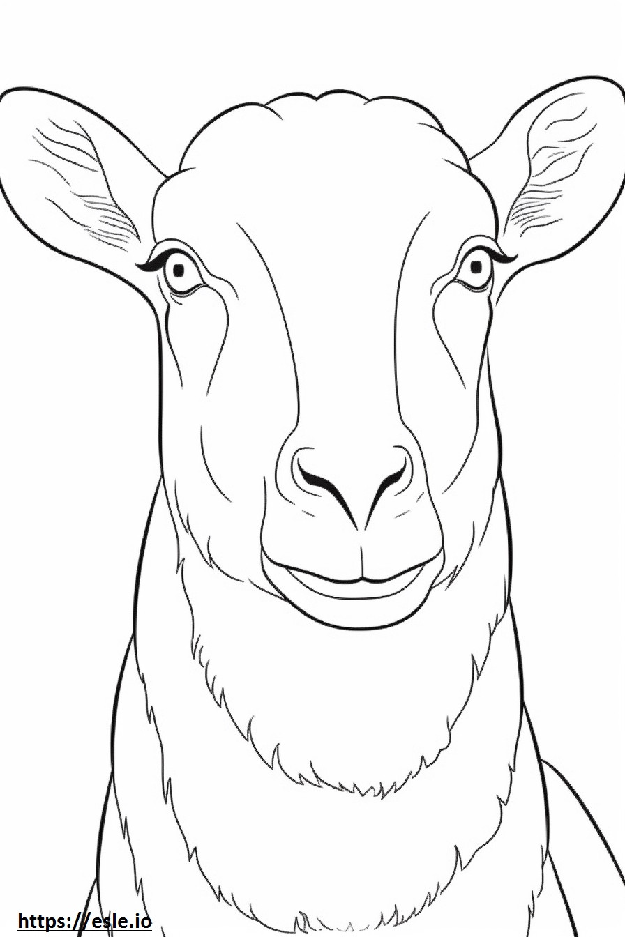 Cashmere Goat face coloring page