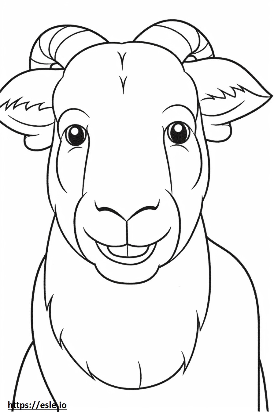 Coloriage Visage de chèvre en cachemire à imprimer