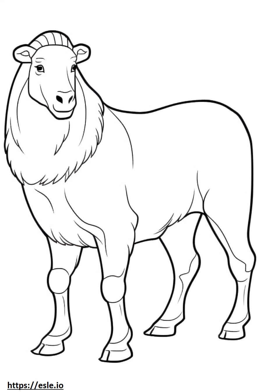 Cashmere Goat full body coloring page