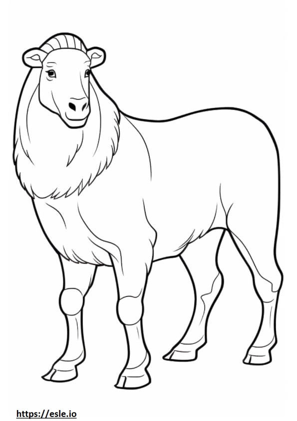Cashmere Goat koko vartalo värityskuva