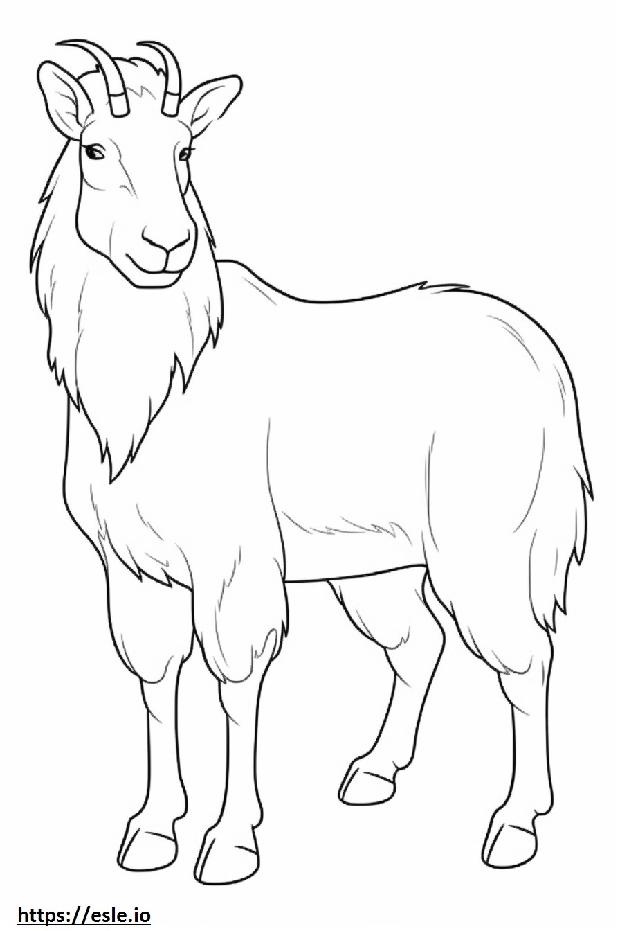 Cashmere Goat baby coloring page