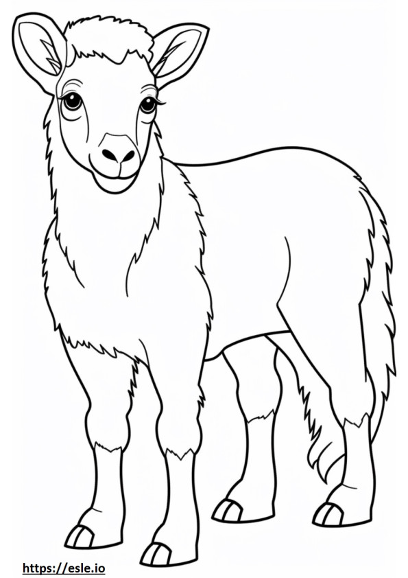 Cashmere Goat baby coloring page