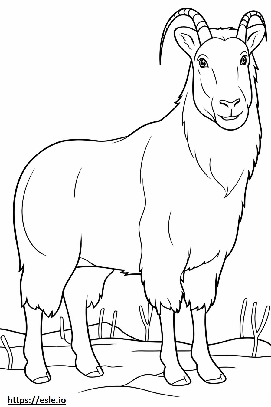 Cashmere Goat söpö värityskuva