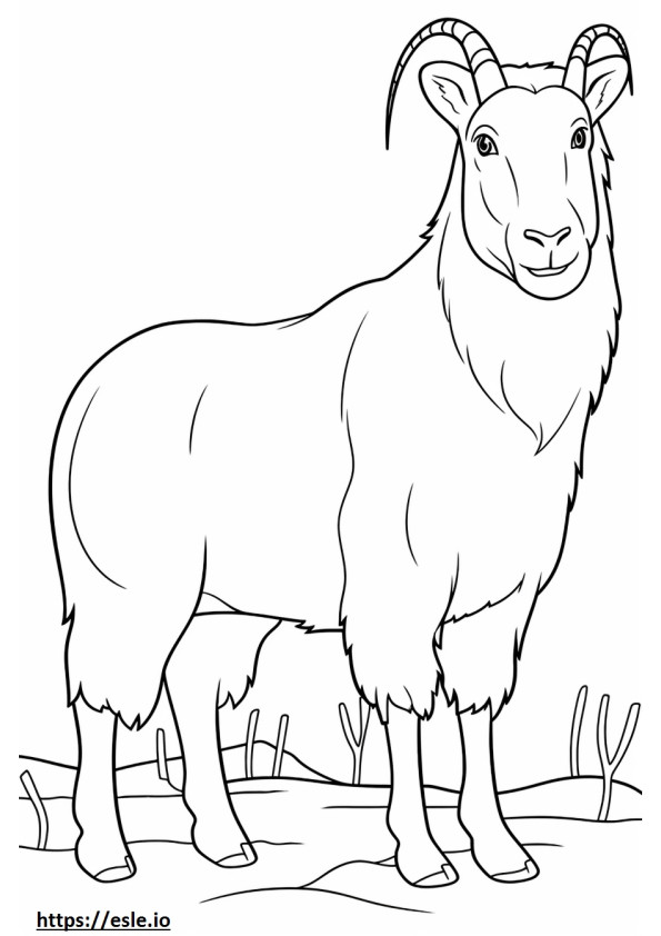 Cashmere Goat cute coloring page