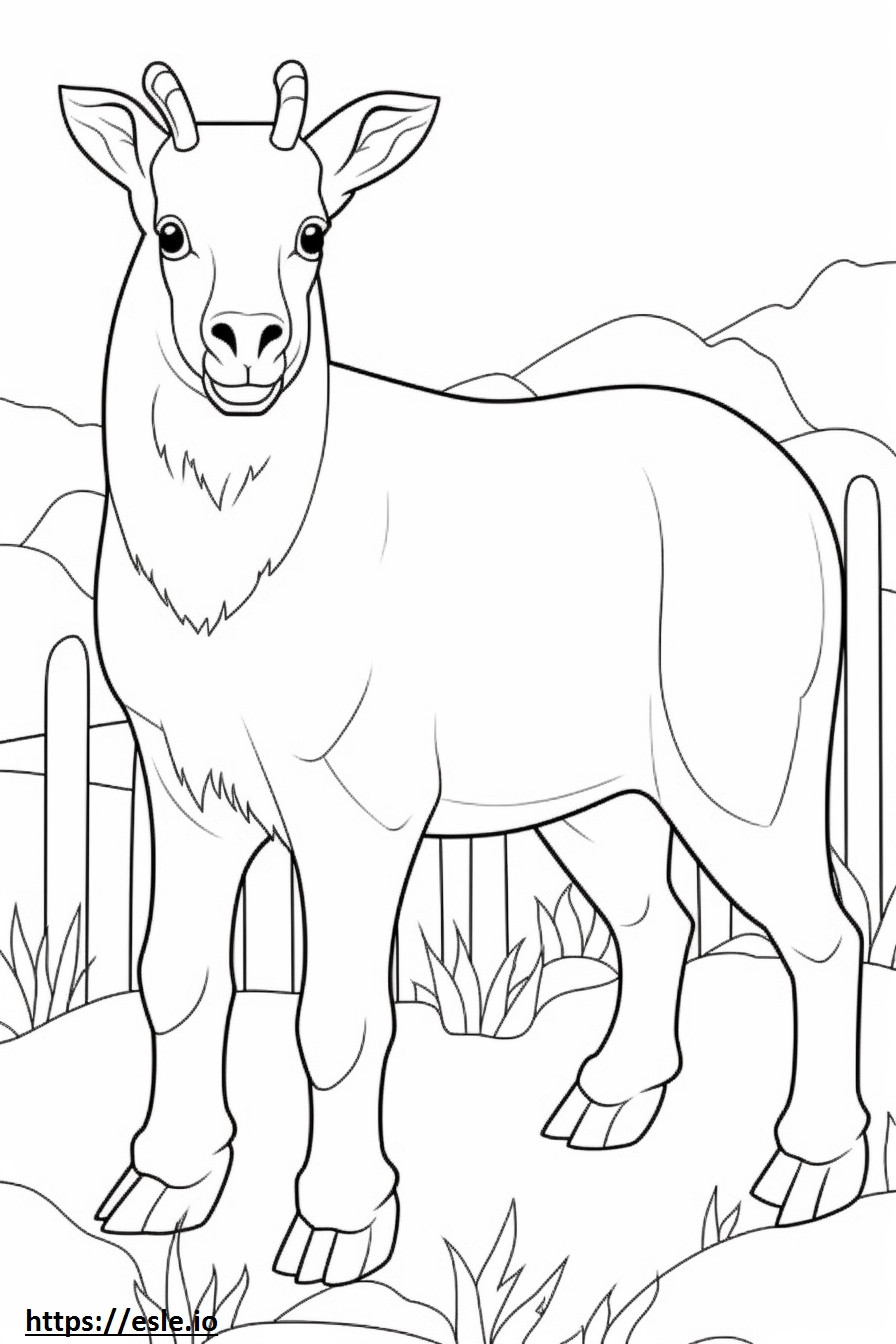Cashmere Goat happy coloring page