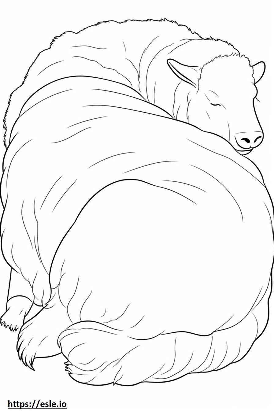 カシミアヤギの睡眠 ぬりえ - 塗り絵
