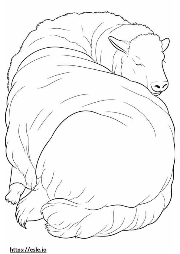 Coloriage Chèvre Cachemire Dormant à imprimer