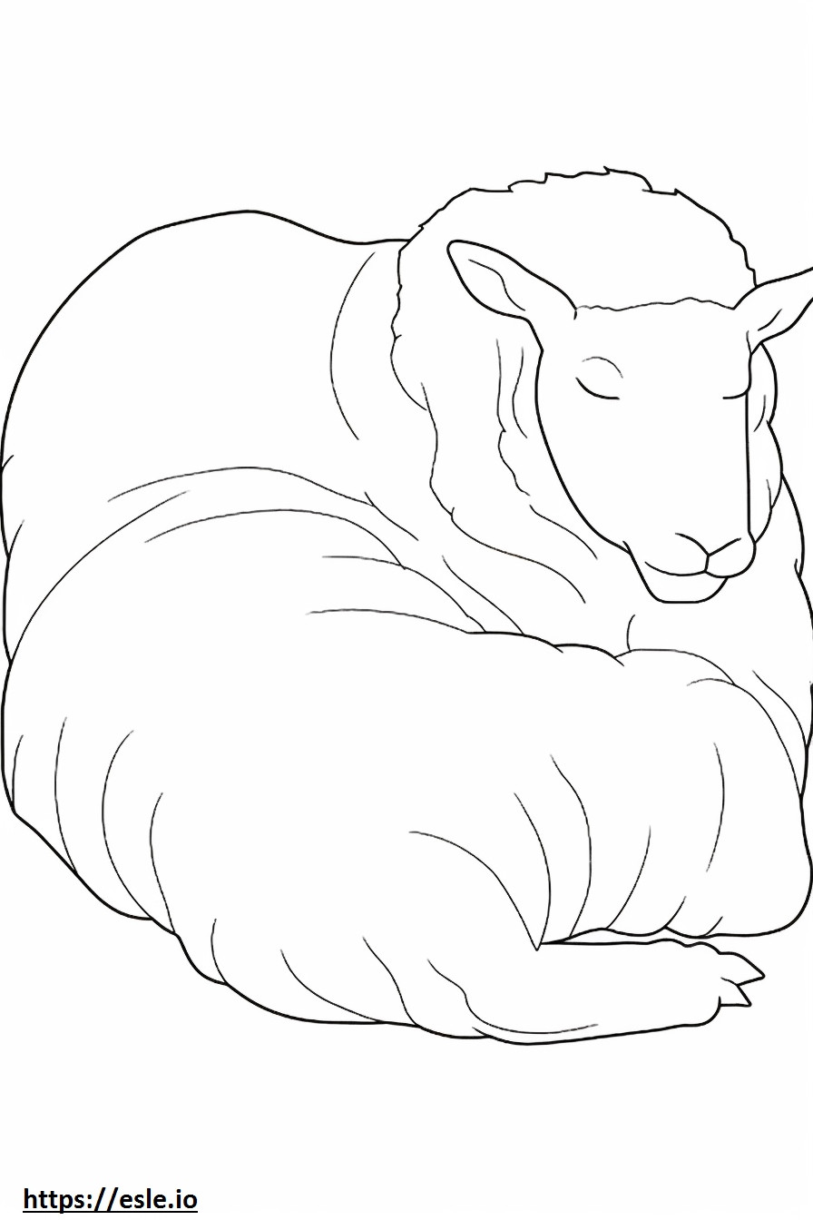 カシミアヤギの睡眠 ぬりえ - 塗り絵