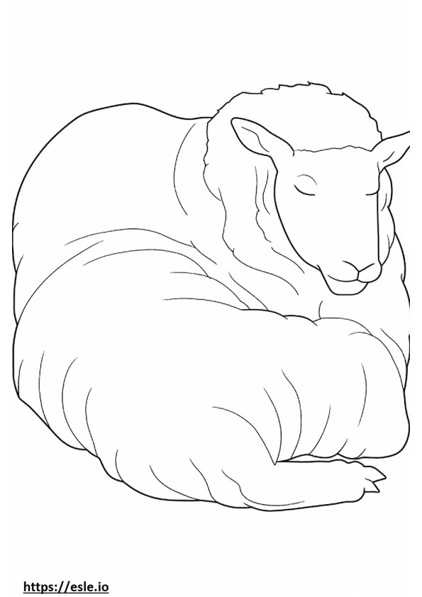 Śpiąca koza kaszmirowa kolorowanka