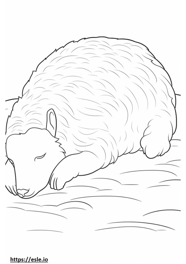 Cashmere Goat Sleeping coloring page