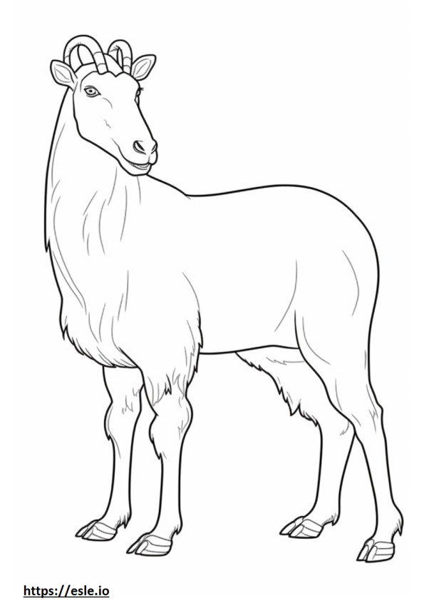 Cashmere Goat leikkii värityskuva