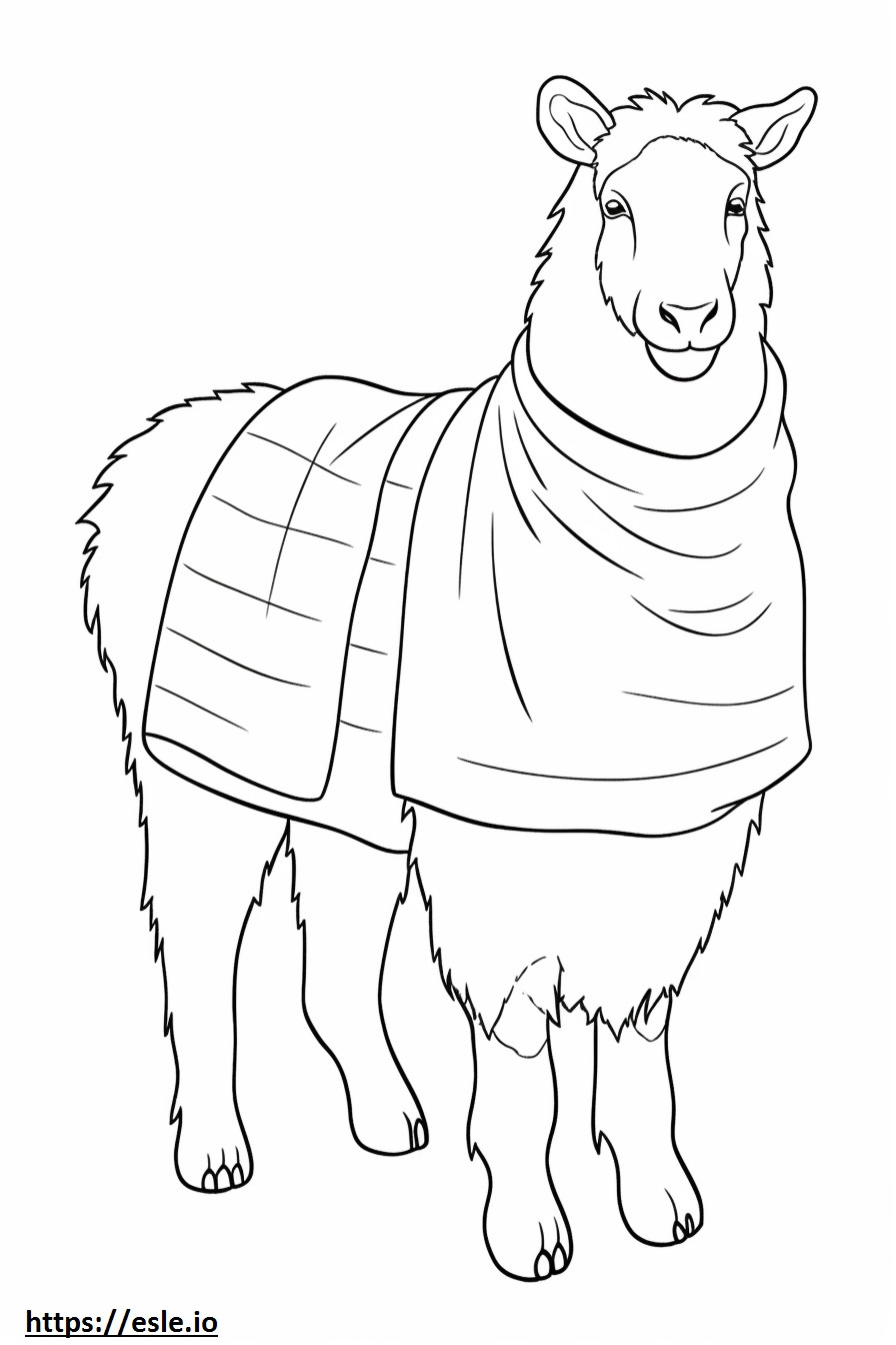 Grająca koza kaszmirska kolorowanka